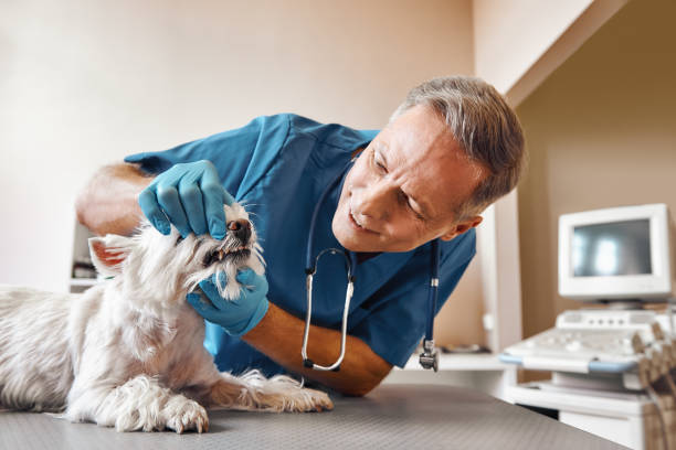 Emergency Dentist Open Today in CT
